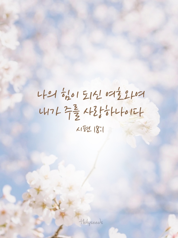홀리씨즈교회 이미지