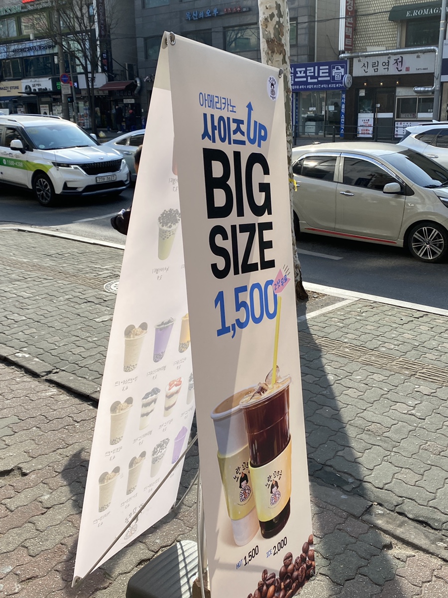 노란꼬무줄 이미지