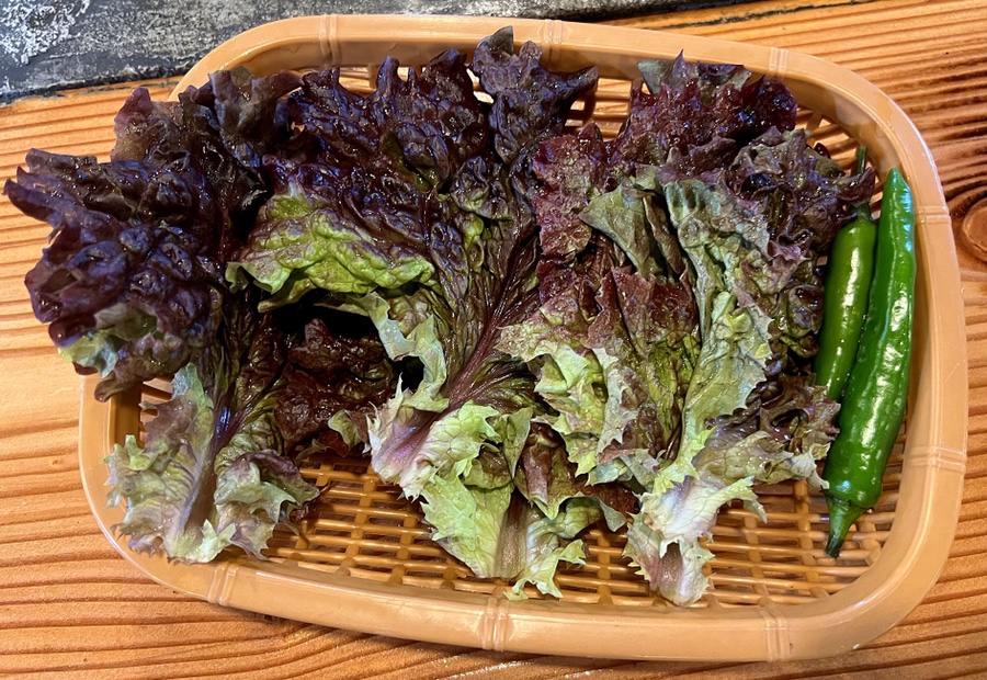 목가네오리 이미지