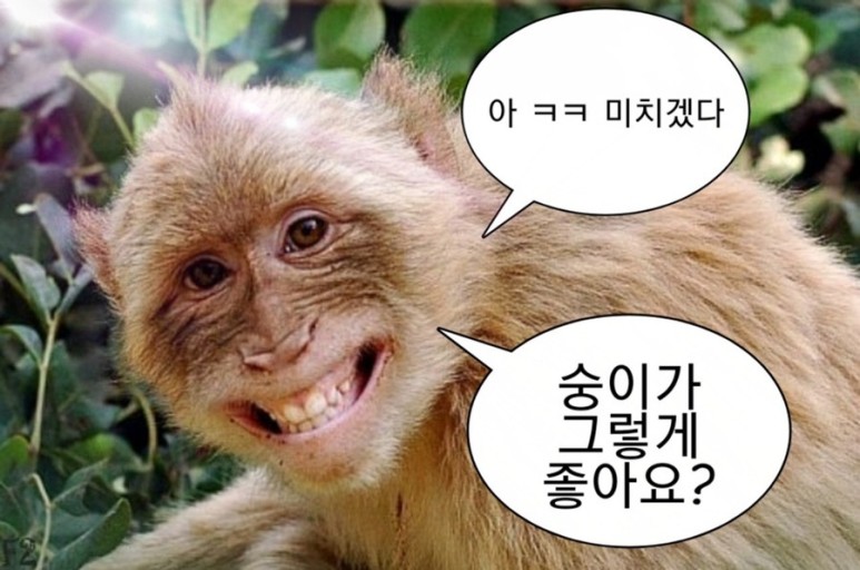 더블유화장품 이미지