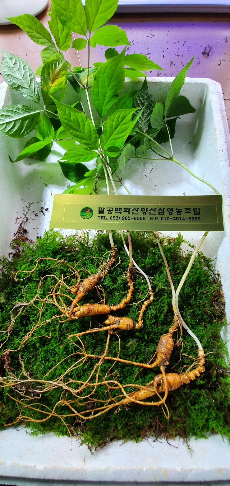 산양농장 이미지