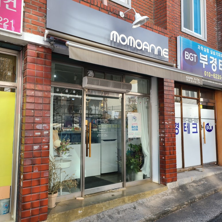 모모앤산격 이미지