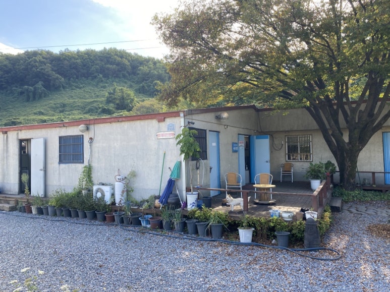 단양자동차운전전문학원 이미지