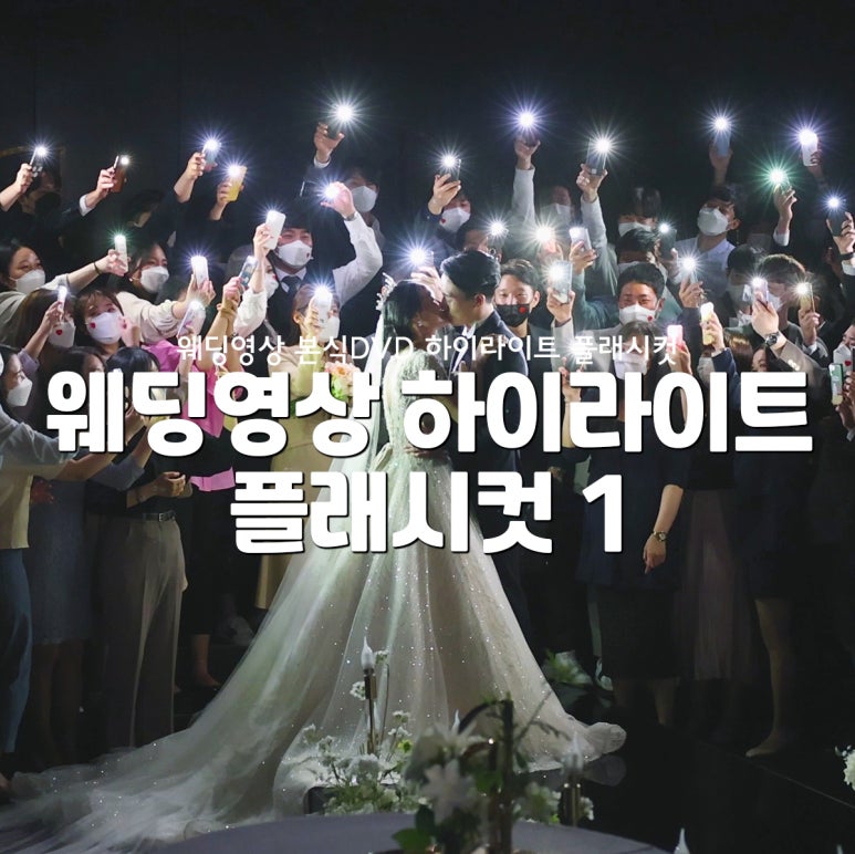 플래쉬컷 이미지