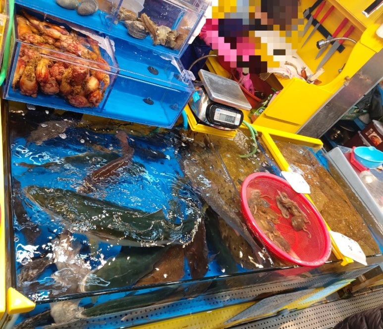 논산상회 이미지