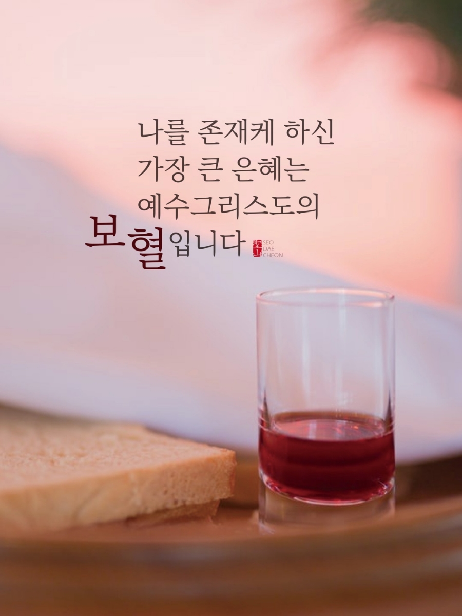 홀리씨즈교회 이미지