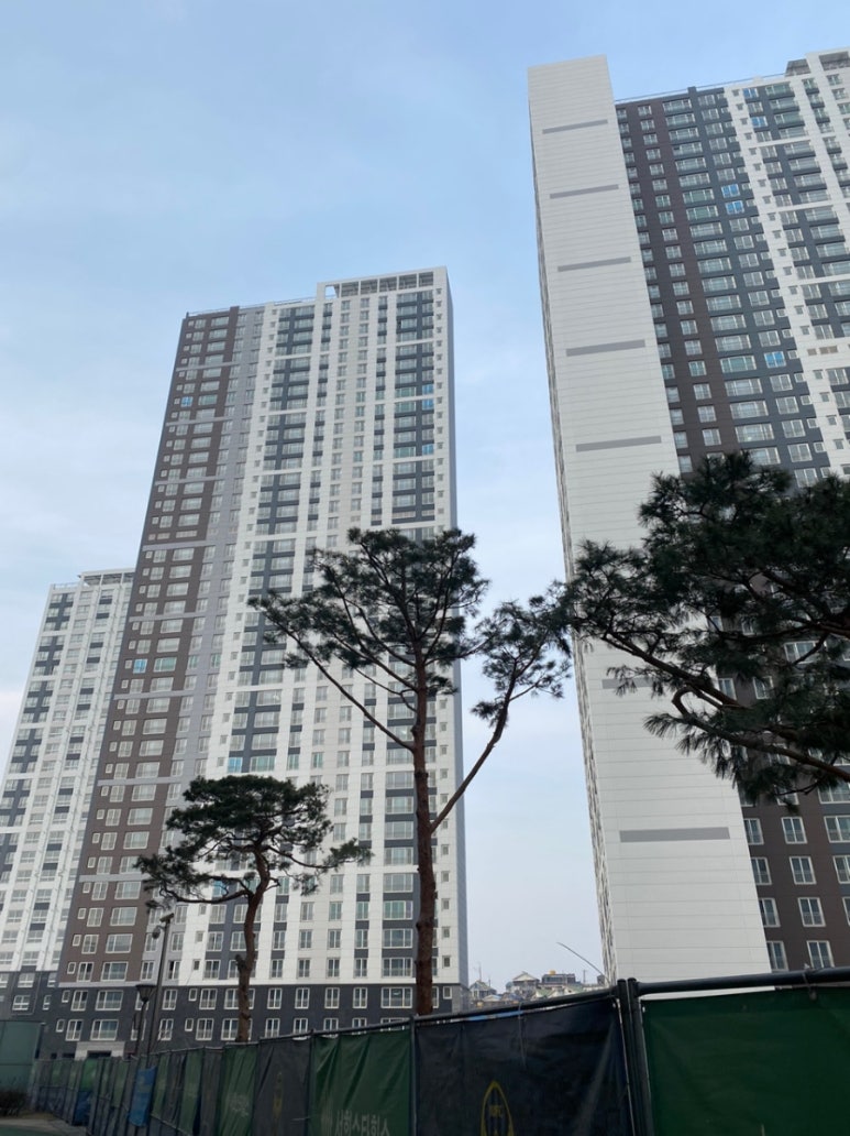 스센 이미지