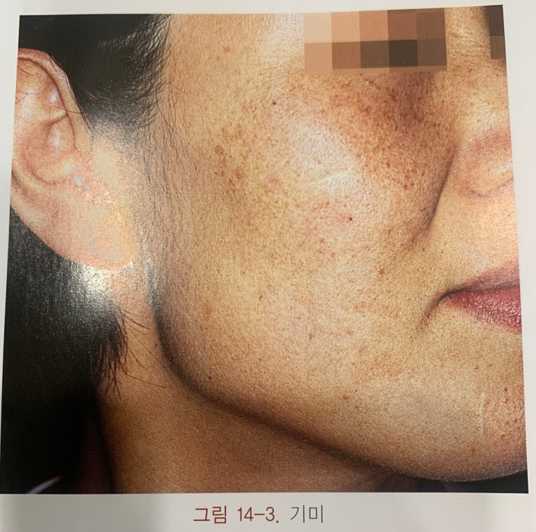 정우의학서적 이미지