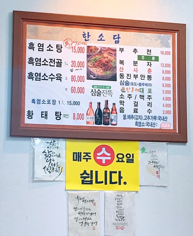 한소담 이미지
