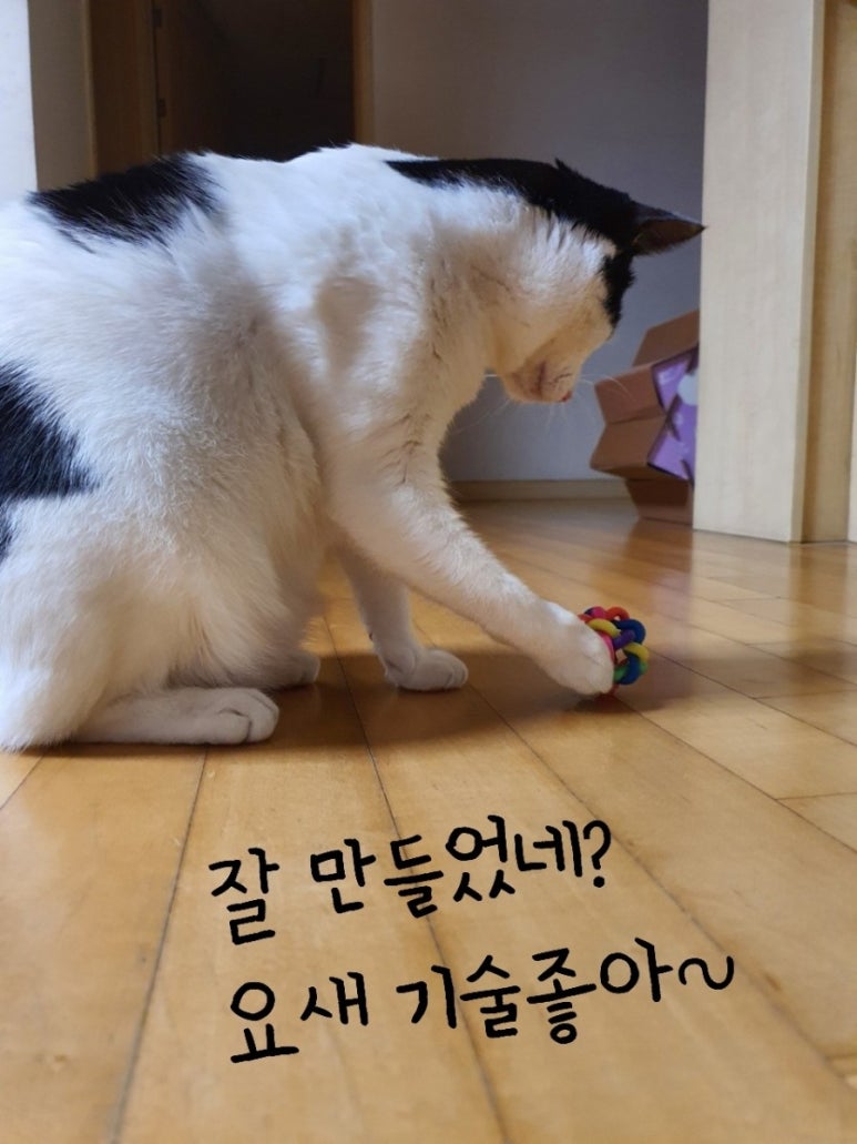 네즈 이미지