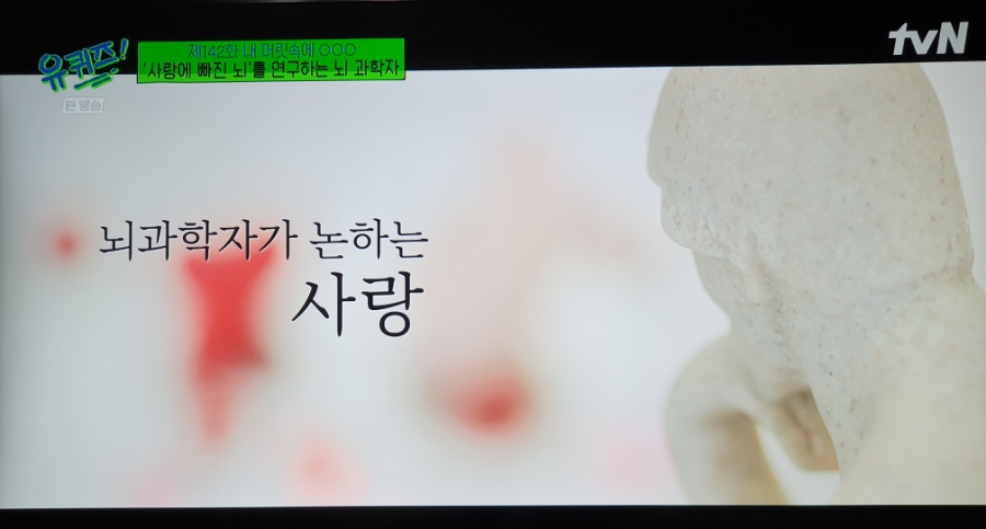 김대수 이미지