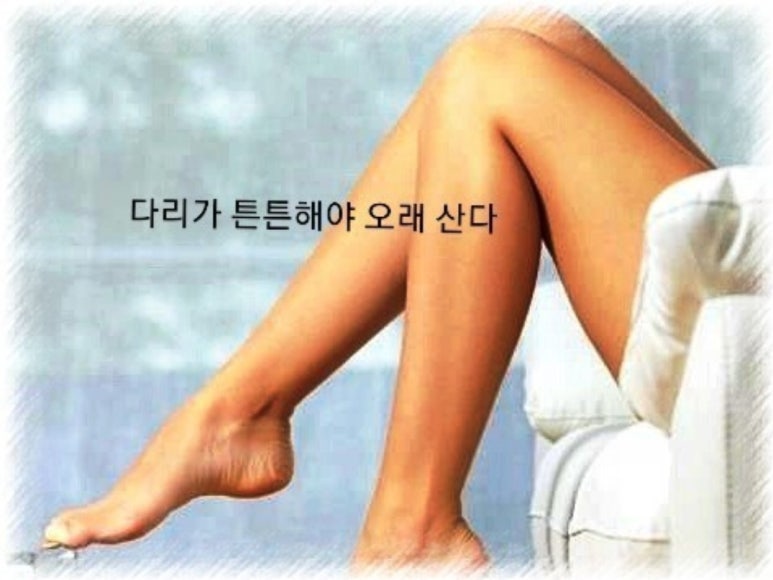 수리축산 이미지