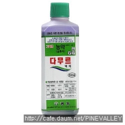 영일팜 이미지