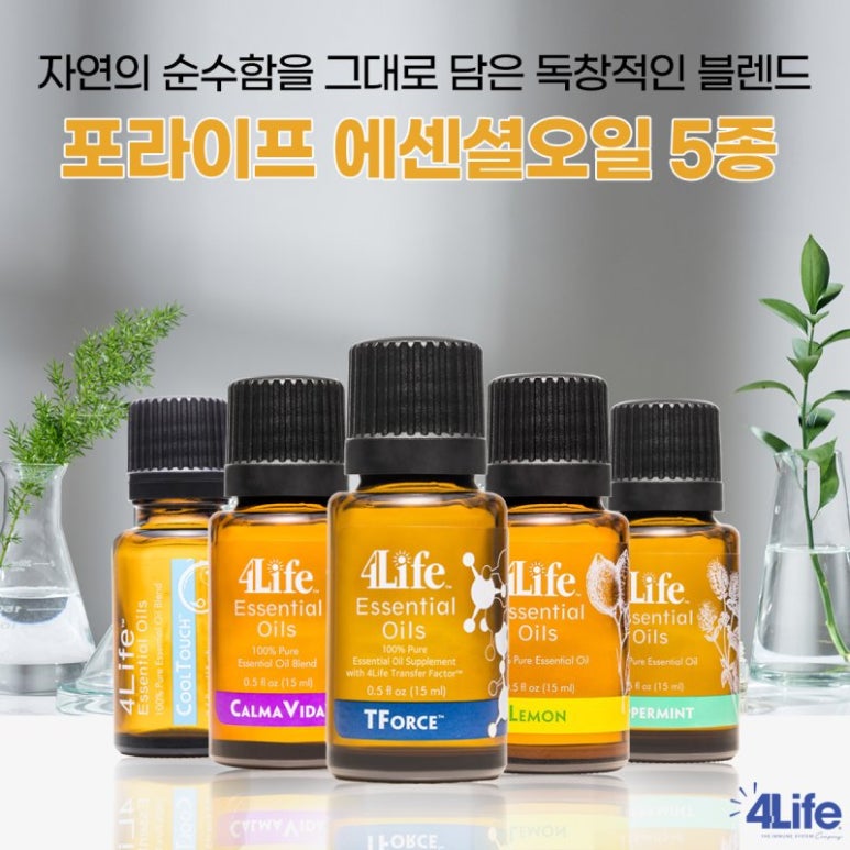 라이프에센셜 이미지