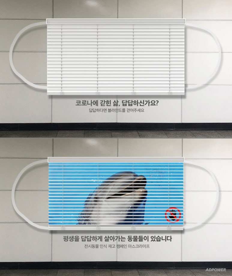 광애드 이미지