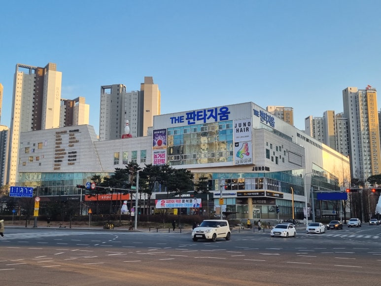 일리아플라워 이미지