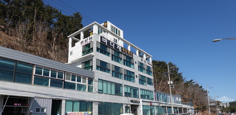 바다채 이미지