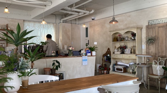 라플라너리 이미지