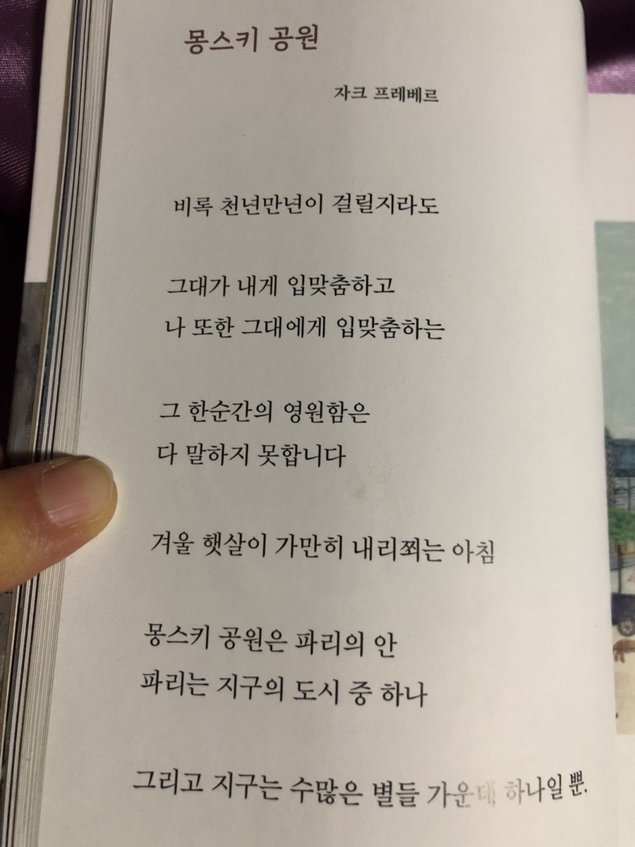 몽스키 이미지