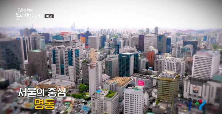 자매수선 이미지