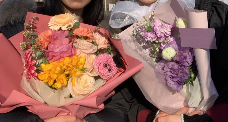 포엠플레르 이미지