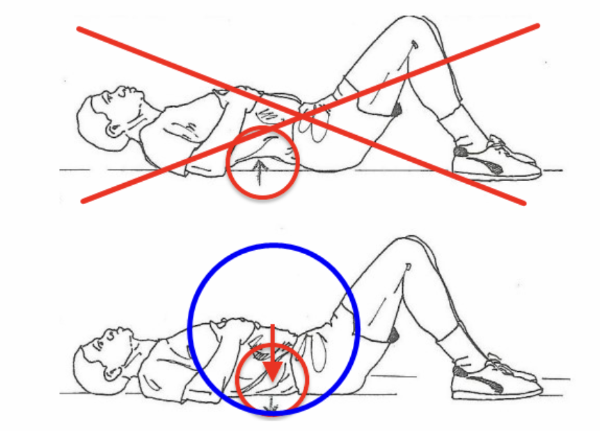 올핏ALLFIT 이미지
