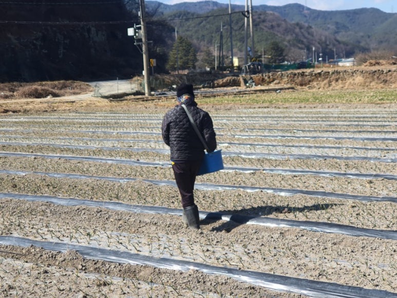 법인행복한농원 이미지