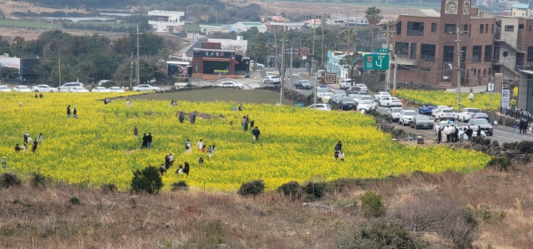 제주애찬 이미지