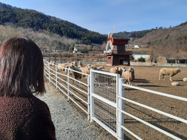 (주)용문여행 이미지