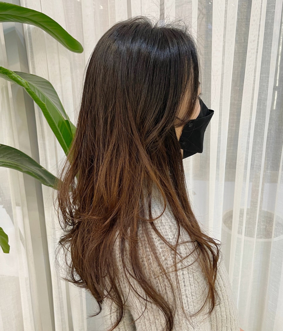 공작미용실 이미지