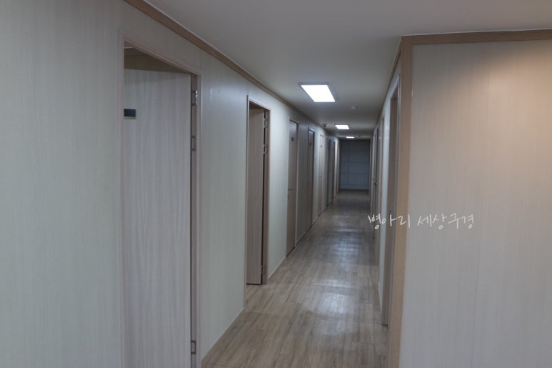 오피스나무 이미지