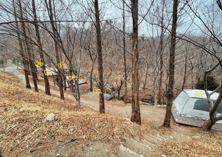 존제산하느제캠핑장 이미지
