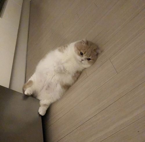 삼진세탁 이미지