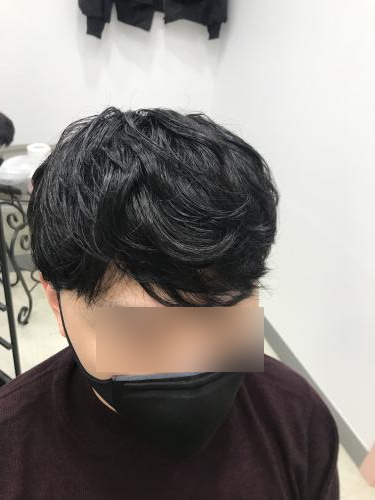 시스템엘르 이미지