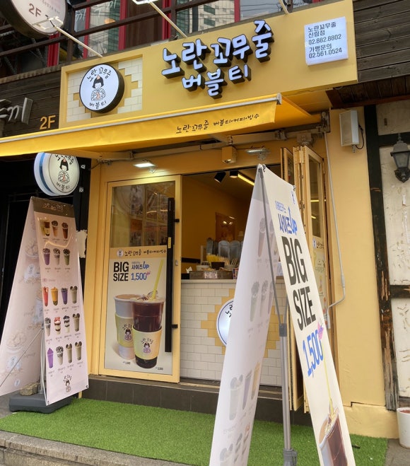 노란꼬무줄 이미지