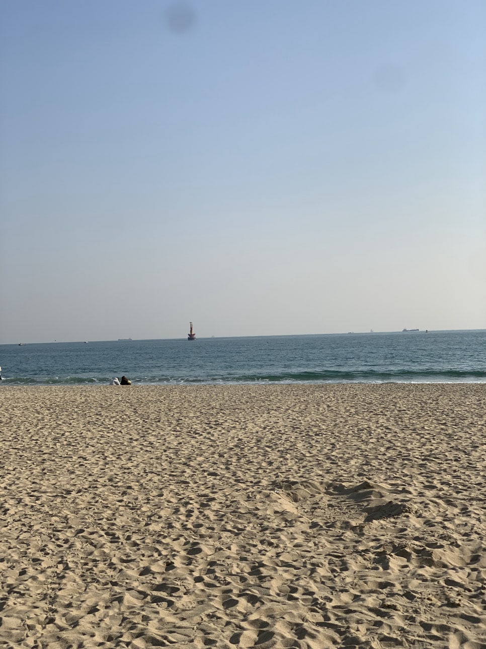 정직유부범일점 이미지