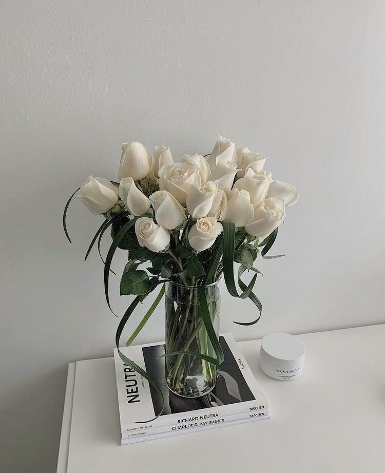 모노시크 이미지