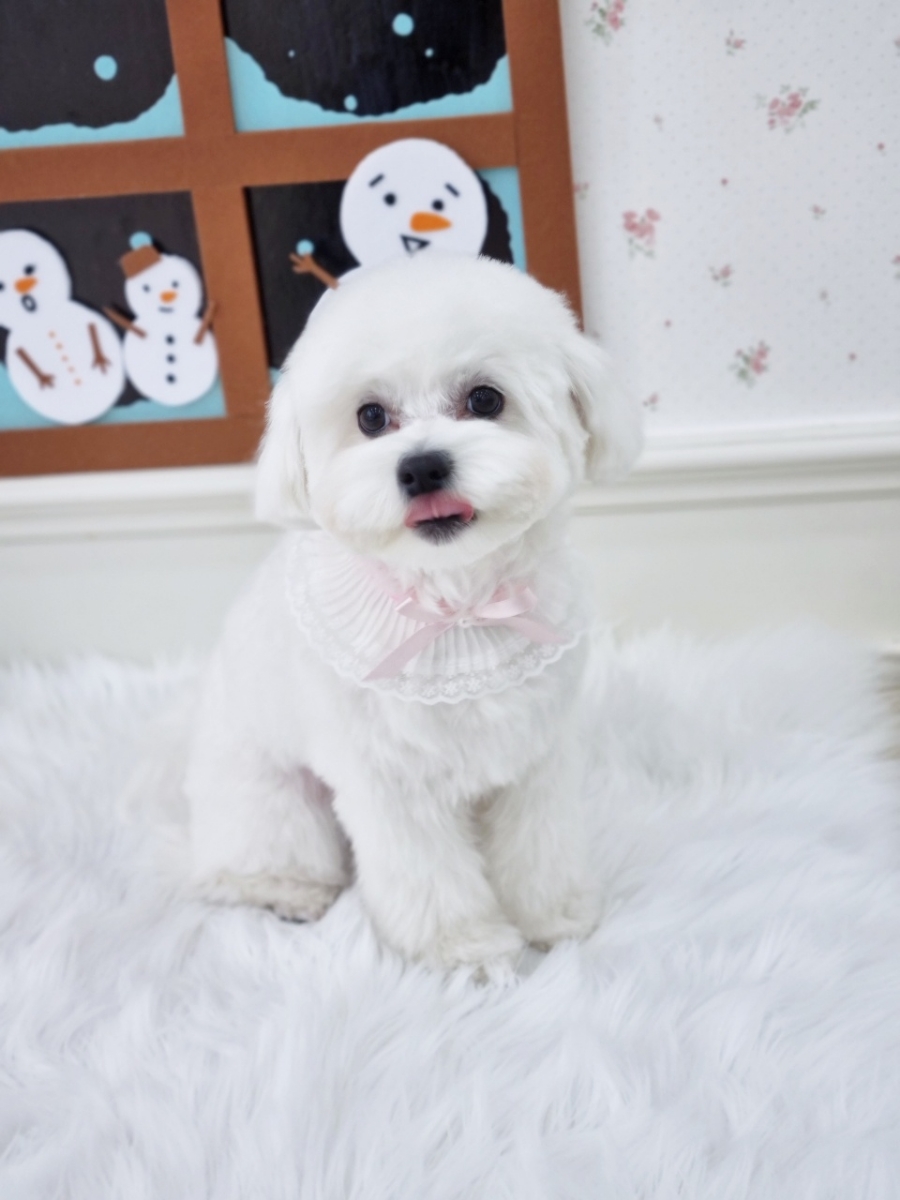까꿍미용실 이미지