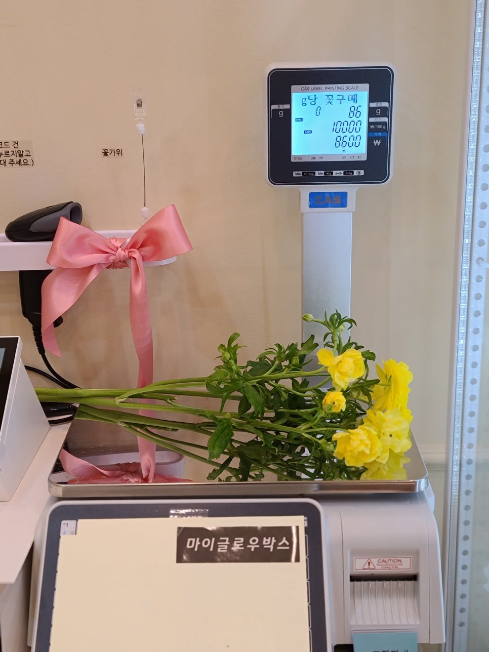 마이글로우박스 이미지