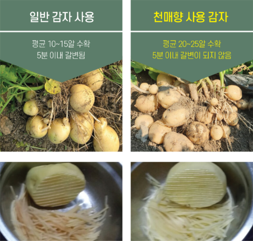 뉴터 이미지
