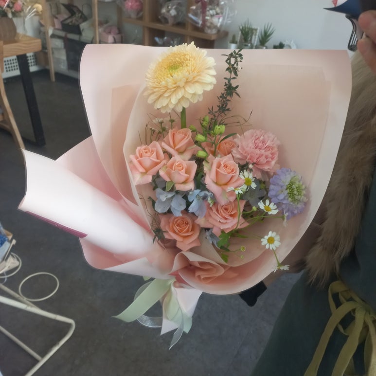엘라임 이미지