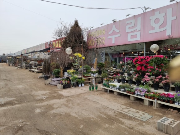 수림화원꽃 이미지