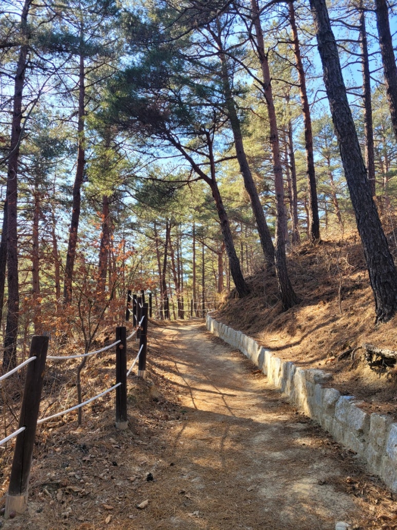 고성산 정상 전망대 이미지
