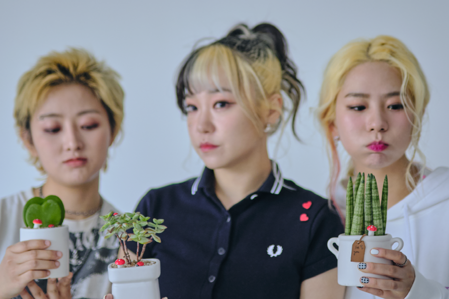 송피싱 이미지