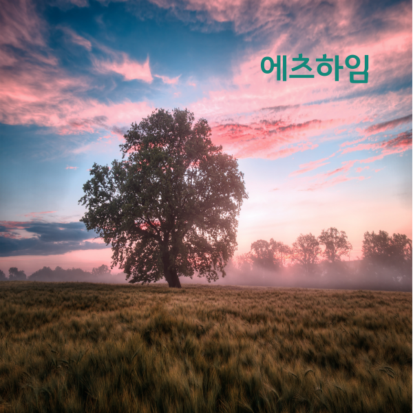 에츠하임 이미지