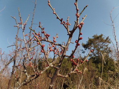 한주동안 이미지