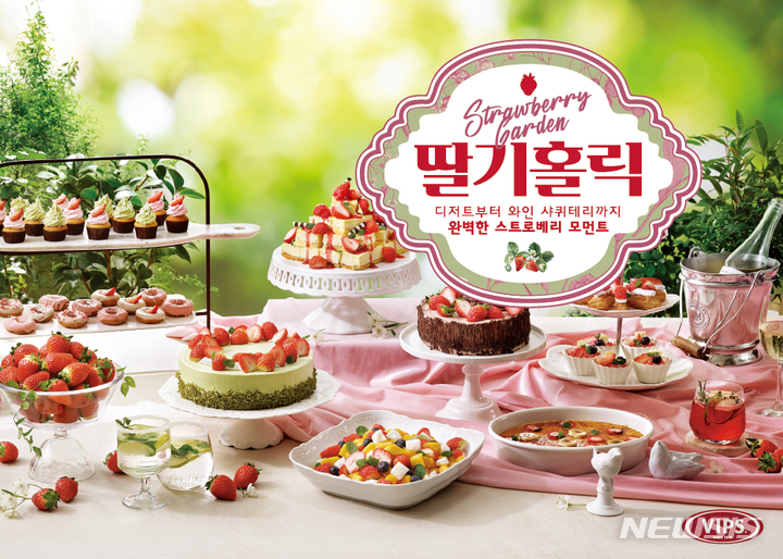 홀릭영 이미지