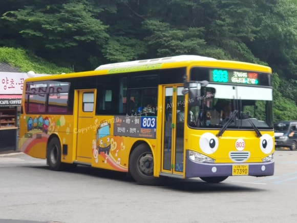 다이소경산 이미지