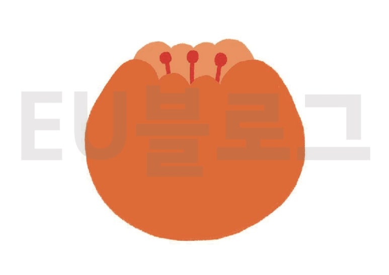 토리환경 이미지