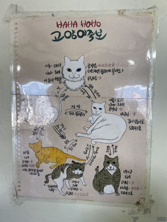 안녕육지사람 이미지